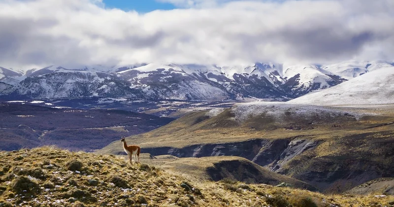 Itinéraire Patagonie en 3 semaines : le circuit que je recommande