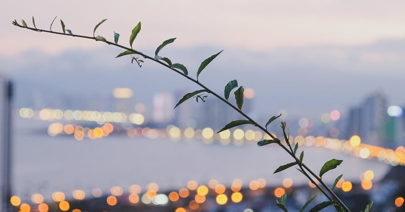 Dormir chez l’habitant : le guide complet du couchsurfing